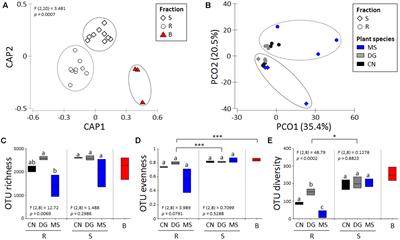 Bacteria Associated to Plants Naturally Selected in a Historical PCB Polluted Soil Show Potential to Sustain Natural Attenuation